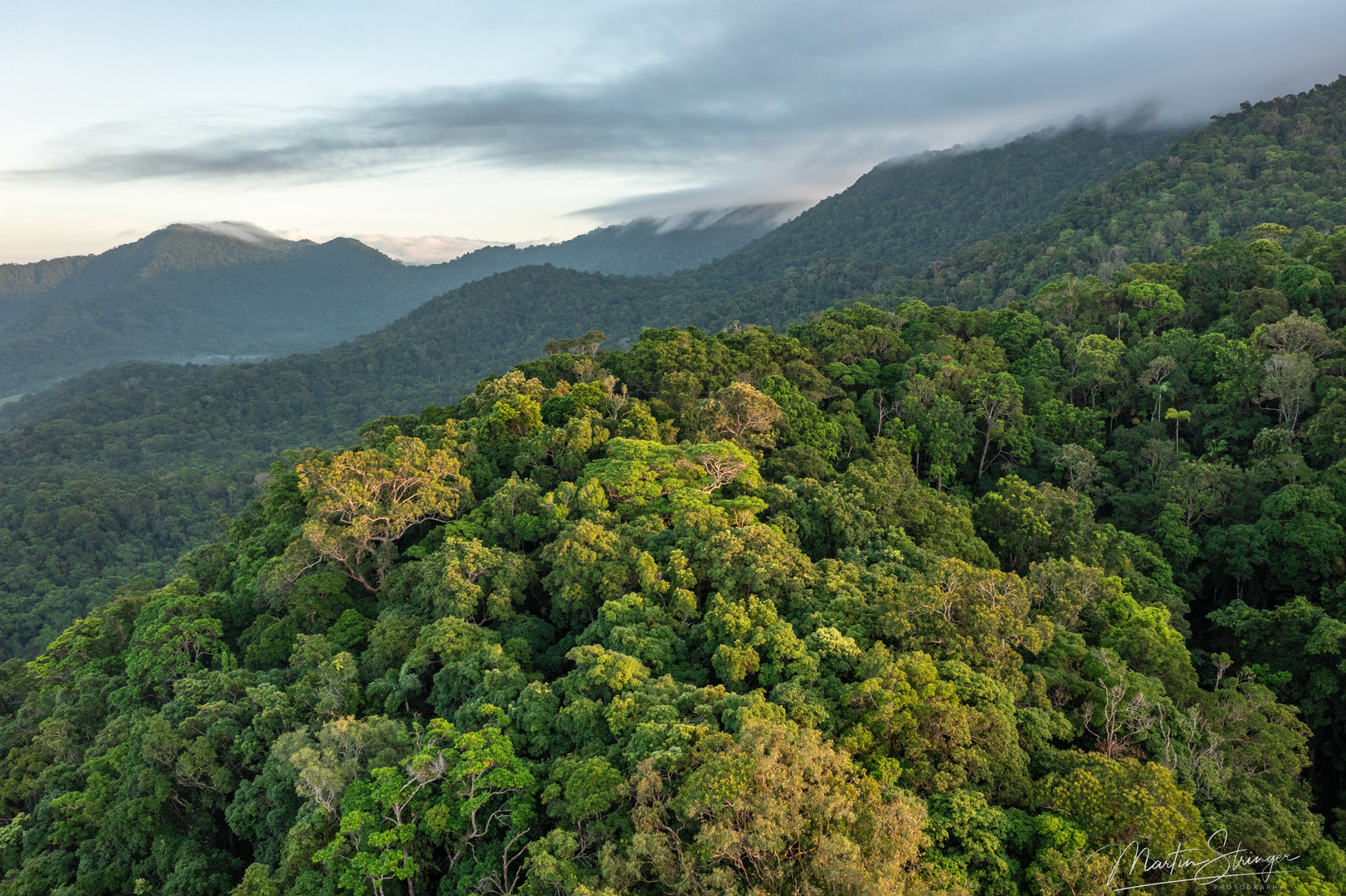 Rainforest Journey - FilmFreeway