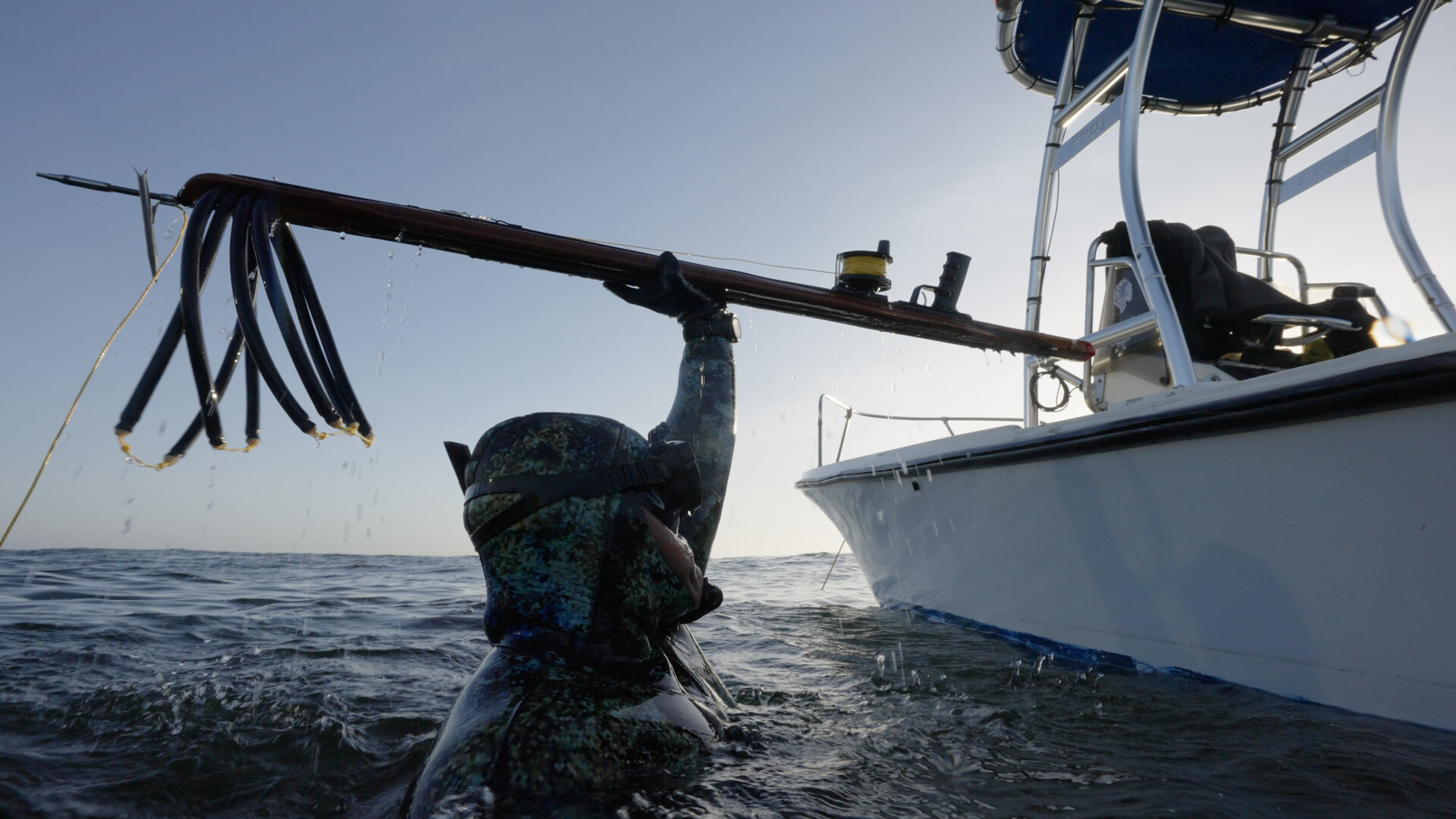 Ghosts of the Pacific, A White Sea Bass Story FilmFreeway