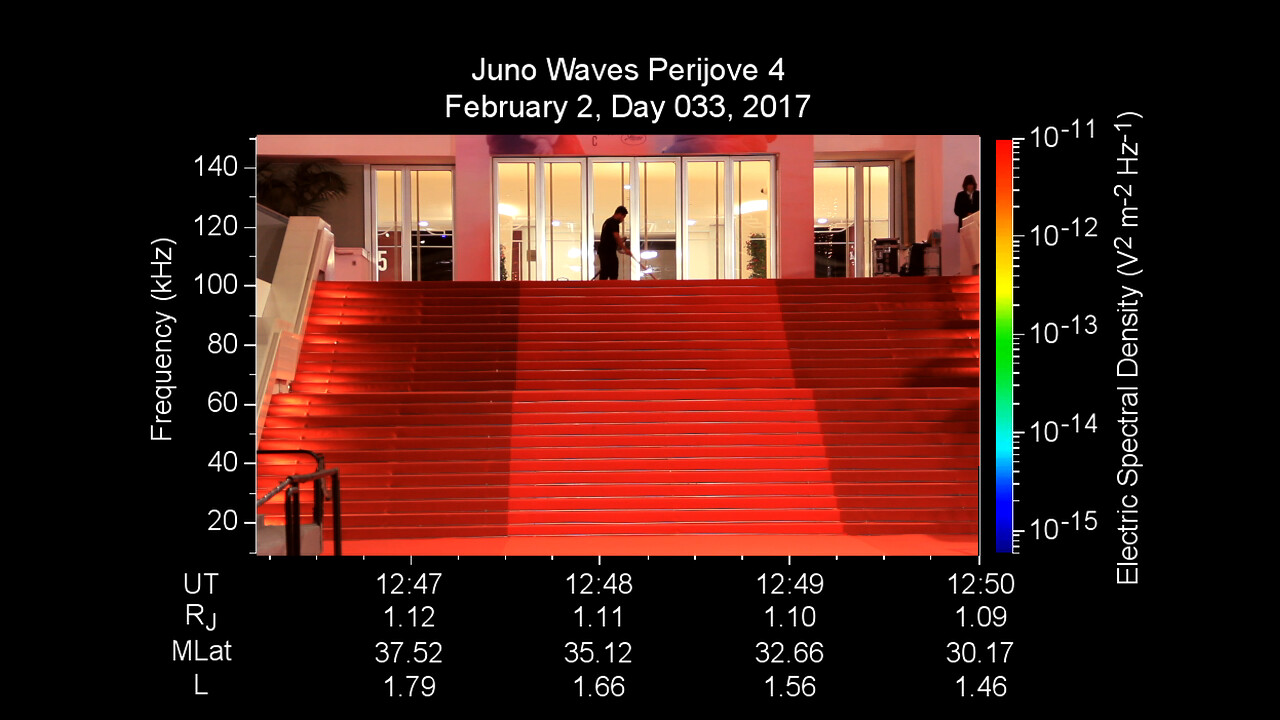 CANNES CARPET CATHARSIS