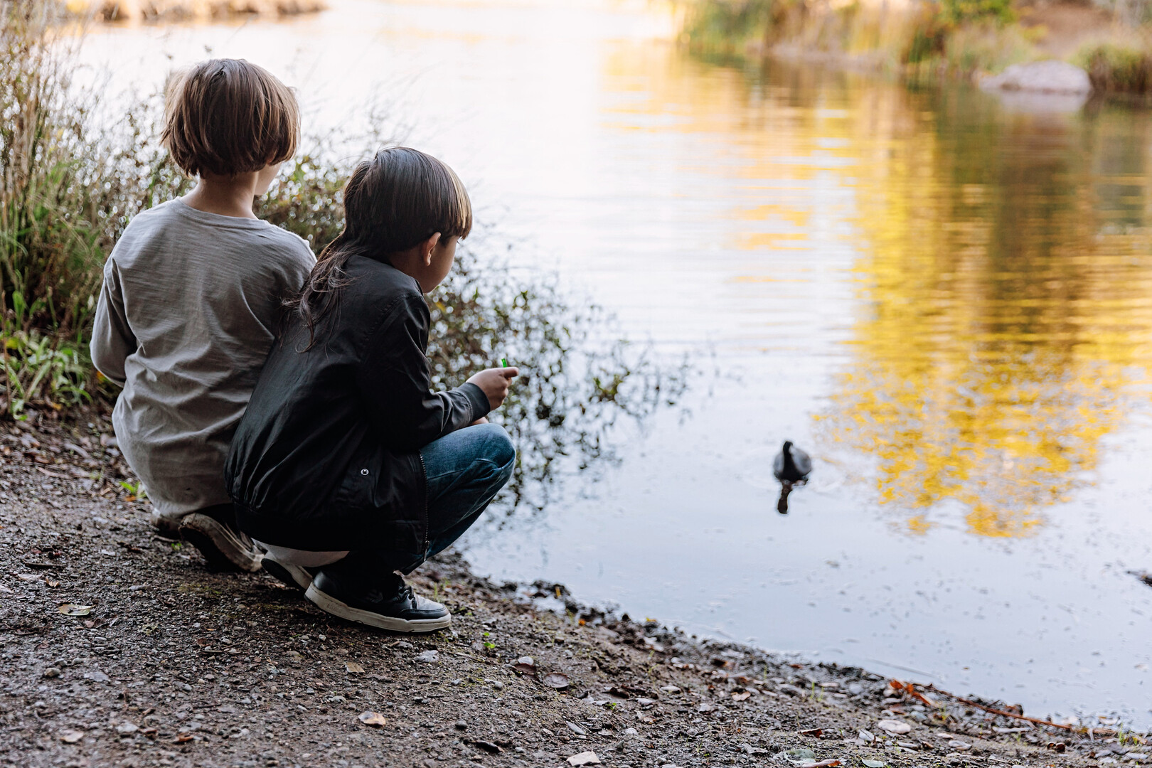 5A7C43DB-1857-49DA-B28E-26A66368ED41.jpg?1751956956&profile=RESIZE_400x