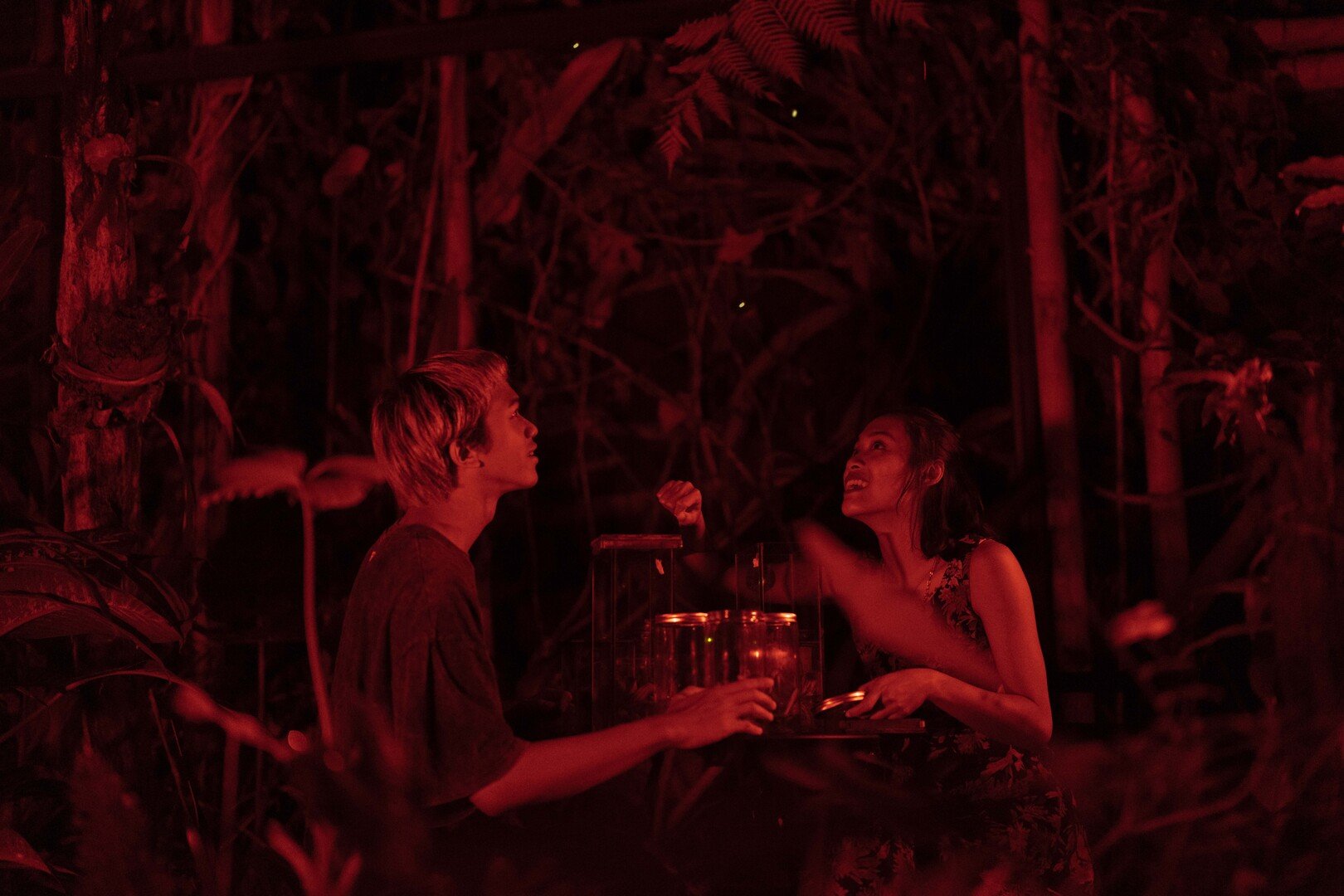 THE RETURN OF THE FIREFLIES