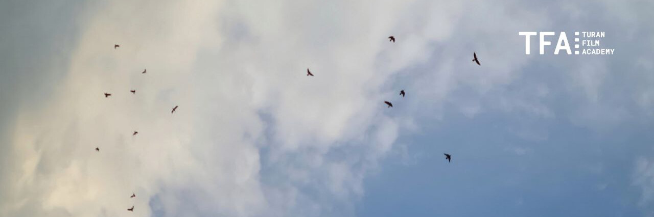 Жыртылған шұлық киген азиялықтар