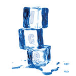 ICE CineFest