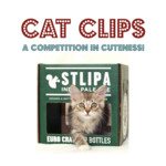 Cat Clips: A Competition in Cuteness!