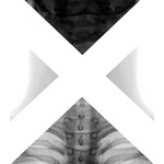 Xsection Dance and Science Film Festival