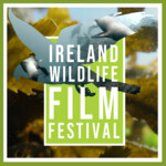Ireland Wildlife Film Festival