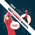 Best Comedy Short