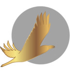 Arctic International Film Festival «Golden raven»