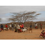 Perspectives on Pastoralism Film Festival