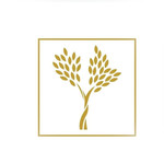 Apulia Film Fest