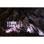 PARALLEL STORIES FILM FESTIVAL