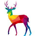 Nizhny Novgorod International Short Film Festival
