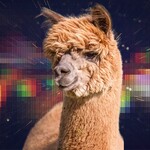 Cusco WebFest