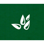 TIAF - Tashkent International Animation Forum