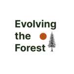 Evolving the Forest