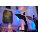 CineCi' Shortmovie CulturalClassic 2026