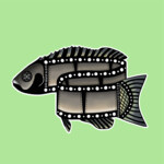 Black Snapper International Film Festival