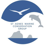 Porthtowan local ocean film festival