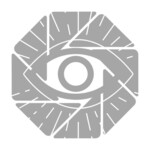 FOCUS on the fUTure                     Film Festival
