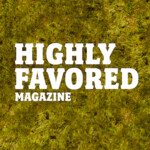 Highly Favorable Media Festival