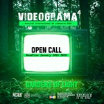 Videograma 4 – International Video Art Festival –