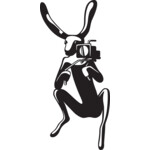 WashU Film Fest