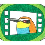 VÍANATUR Environmental Film Festival