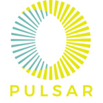 Pulsar - A Video Art Exhibition