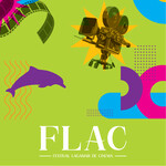 FLAC - Festival Lagamar de Cinema