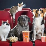 Movies Saving Pets Film Festival