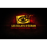 Festival international Lyon