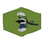 The Magpie Film Festival