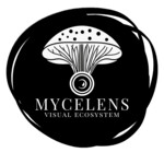 Mycelens - Visual Ecosystem