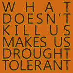 What Doesn't Kill Us Makes Us Drought Tolerant