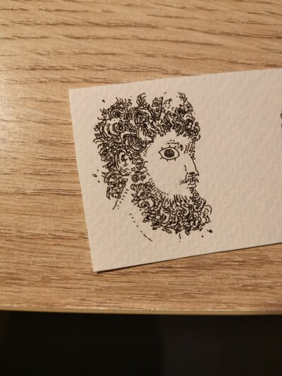 22281a056a headshot