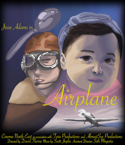 Airplane cover copy