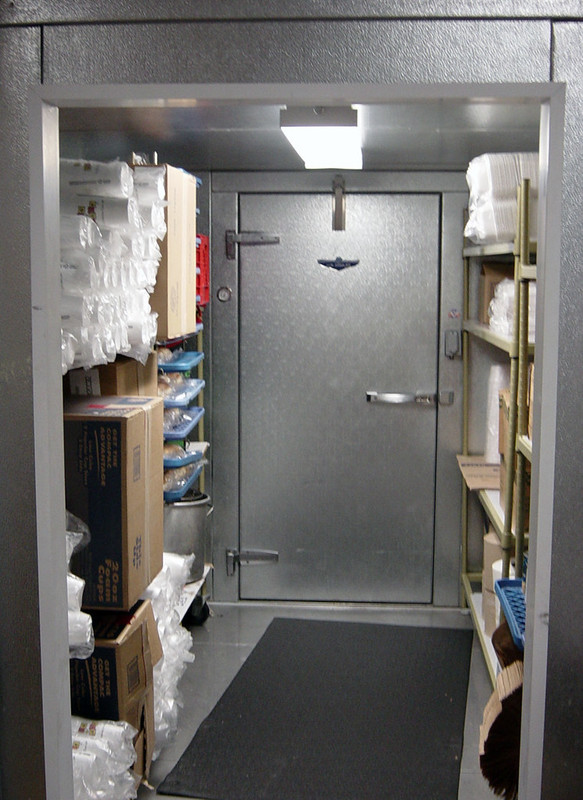THE FREEZER