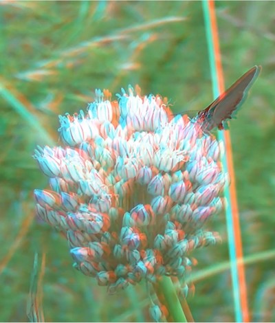 C5e86d7f33 poster