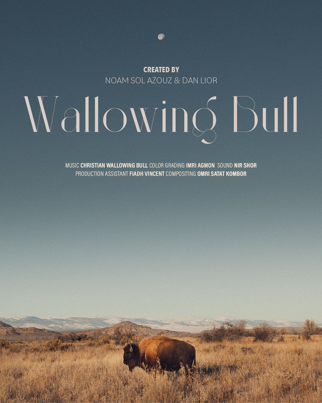 Wallowing Bull - FilmFreeway