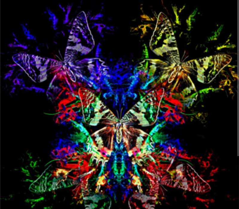 &quot;まなみ&quot;  Effet papillon Comprar EFFET PAPILLON - Perfume Inspirado em Papilefiko