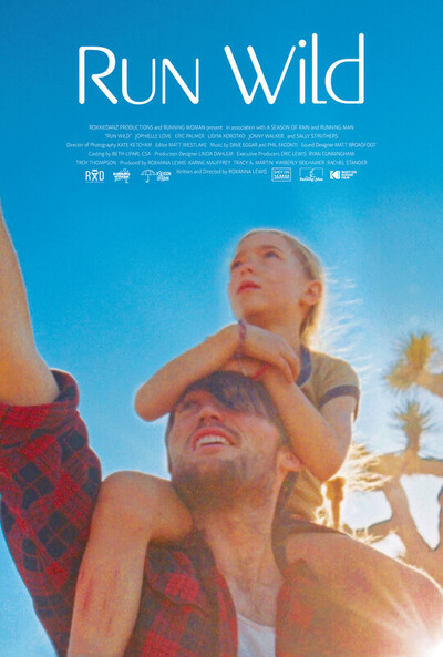 D950a8f353 poster