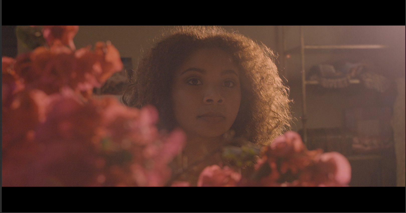 Curandera FilmFreeway