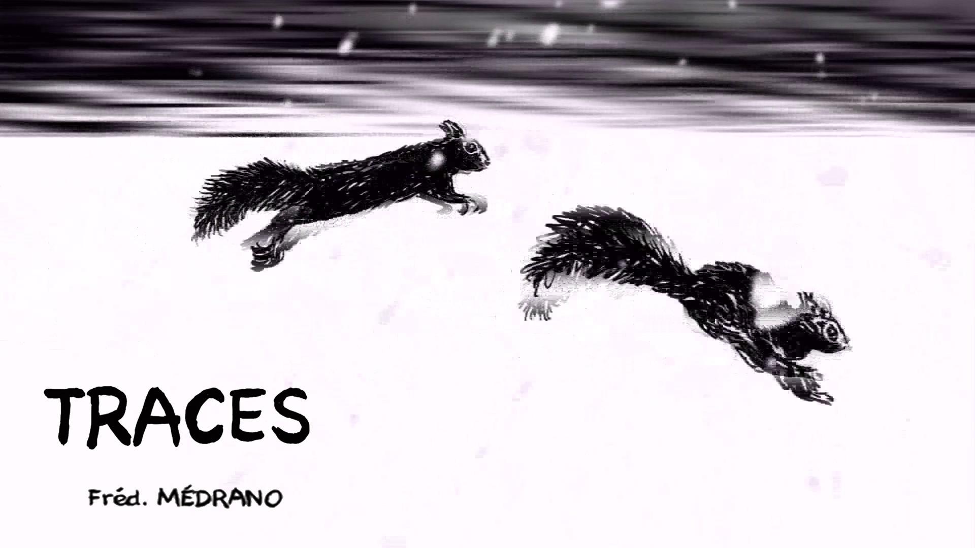 Traces anima filmfreeway