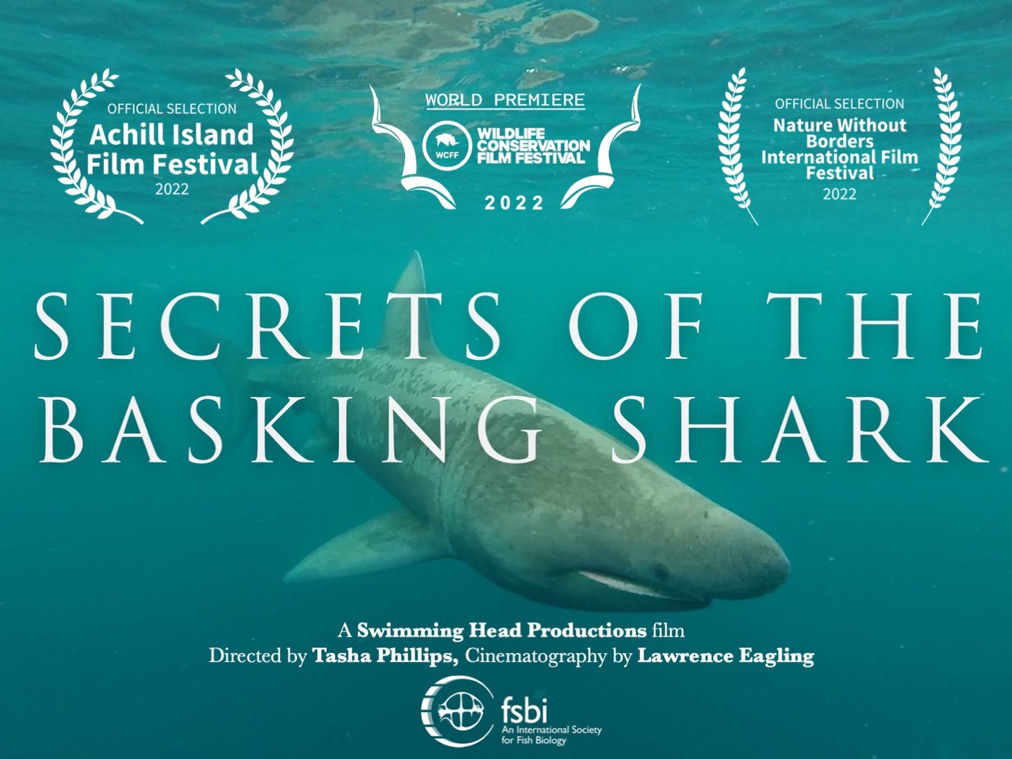 Secrets Of The Basking Shark FilmFreeway secrets-of-the-basking-shark-filmfreeway