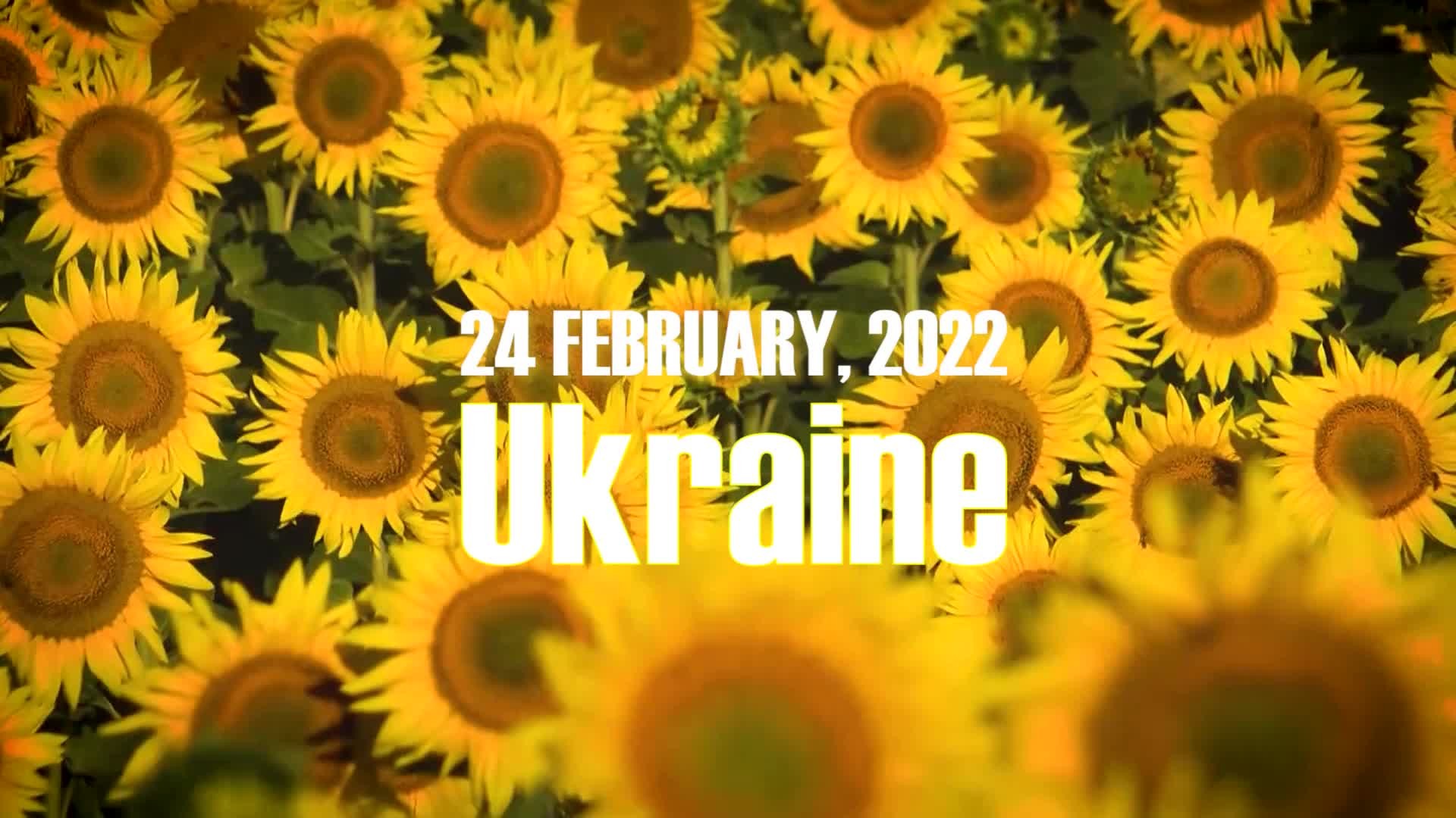 a-song-for-ukraine-filmfreeway