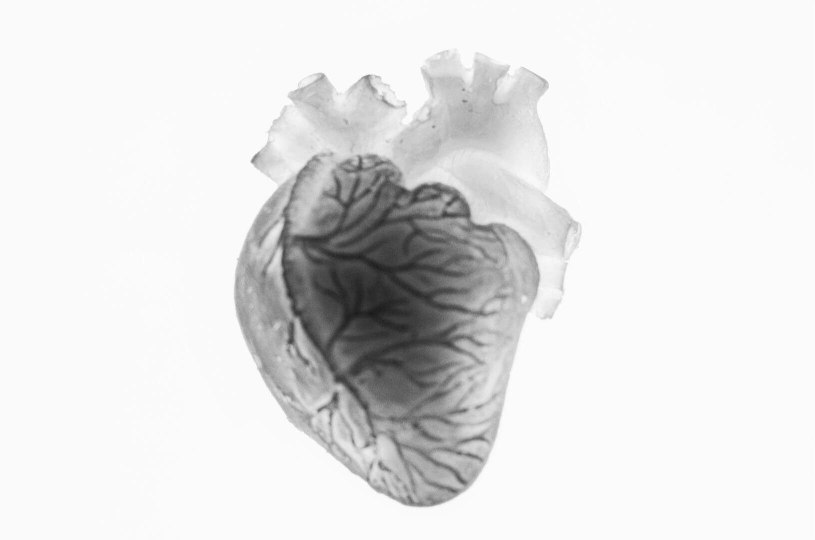 tears-tears-tears-filmfreeway