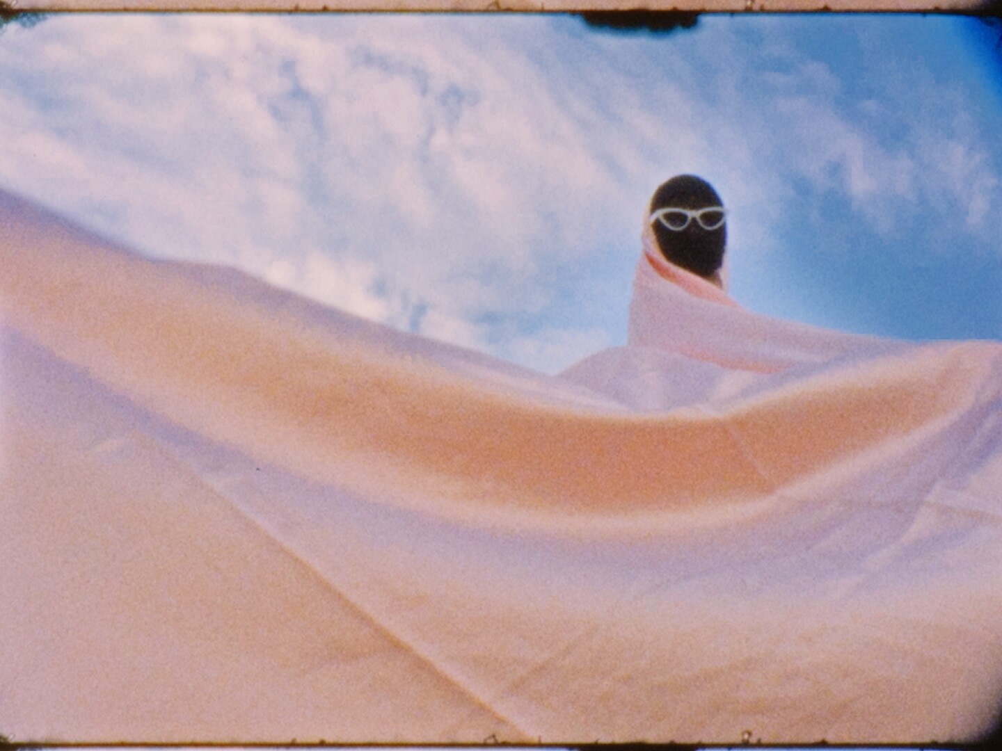 Les fleurs du mâle - FilmFreeway