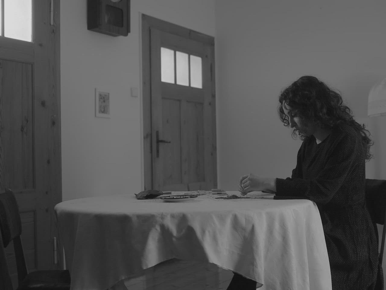 Spider legs FilmFreeway