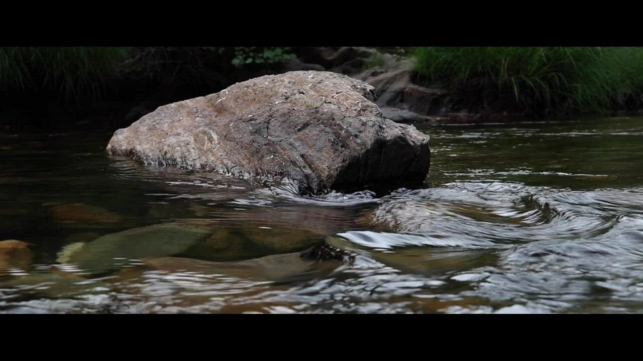 I Dreamed Of Being An Actress Filmfreeway