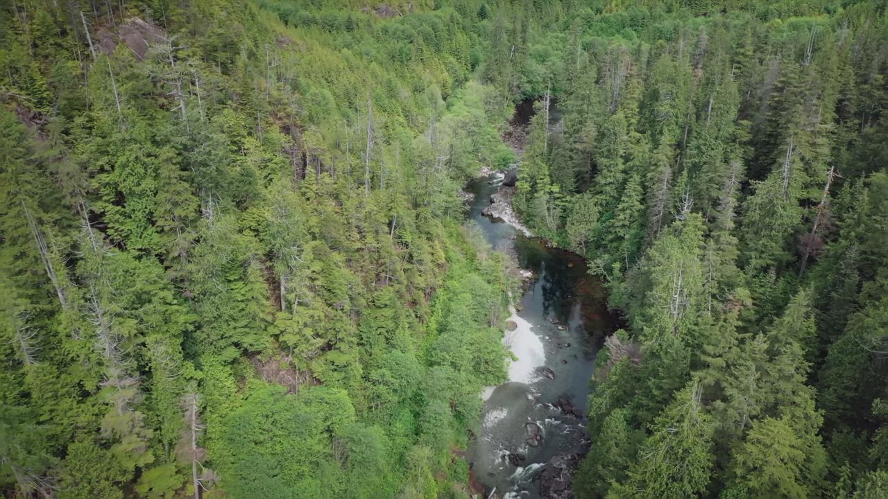 Salmon Secrets Filmfreeway